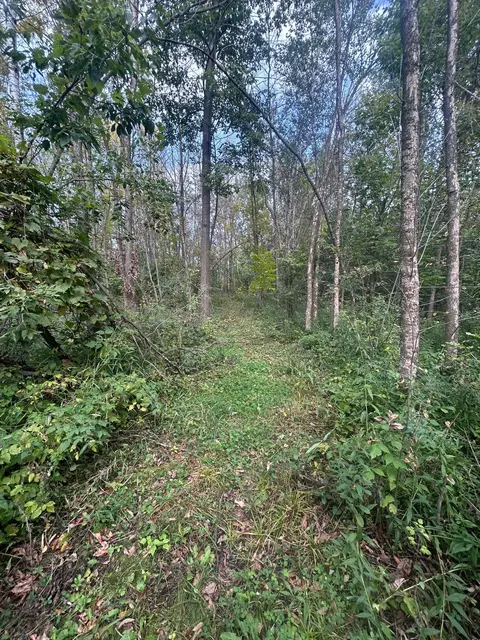 tbd Stark Rd, Harris, MN 55032 photo 13