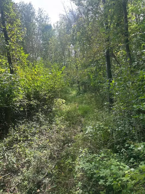 tbd Stark Rd, Harris, MN 55032 photo 19