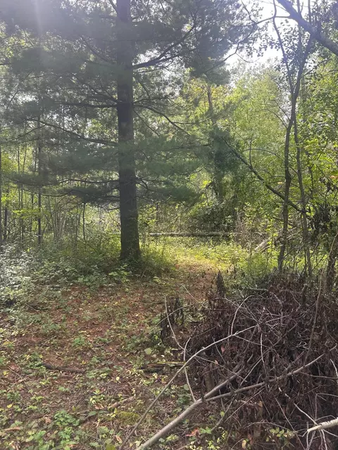 tbd Stark Rd, Harris, MN 55032 photo 17