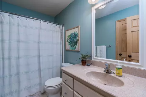 Bath - 44229 Willow Rd, Saint Peter, MN 56082 photo 3 of 4
