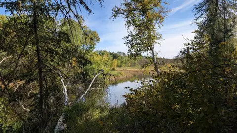 View/Area - 5957 River Rd, Orr, MN 55771 photo 5 of 7