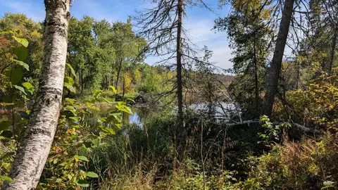 View/Area - 5957 River Rd, Orr, MN 55771 photo 7 of 7