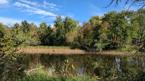 View/Area - 5957 River Rd, Orr, MN 55771 photo 6 of 7