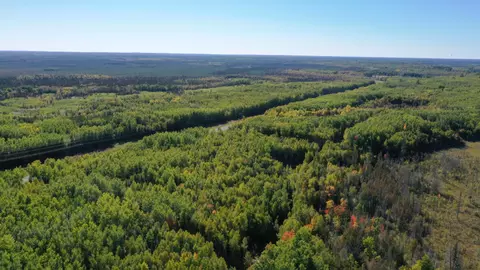 tbd Parcel 5 Hwy 115, Tower, MN 55790 photo 3