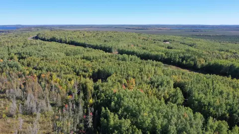 tbd Parcel 5 Hwy 115, Tower, MN 55790 photo 5