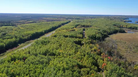 tbd Parcel 5 Hwy 115, Tower, MN 55790 photo 2