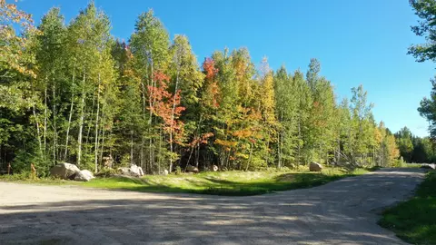 tbd Parcel 5 Hwy 115, Tower, MN 55790 photo 10
