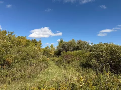 tbd 400th St, Bertha, MN 56437 photo 25