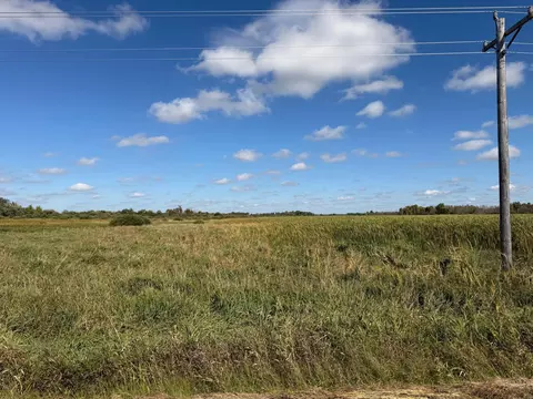 tbd 400th St, Bertha, MN 56437 photo 21