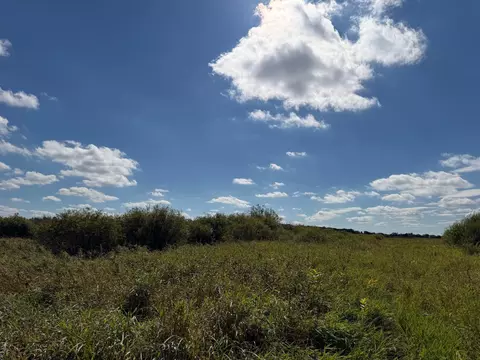 tbd 400th St, Bertha, MN 56437 photo 34
