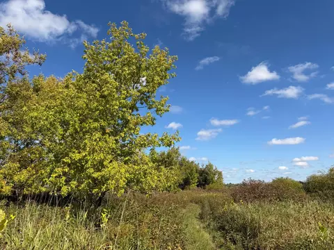 tbd 400th St, Bertha, MN 56437 photo 27