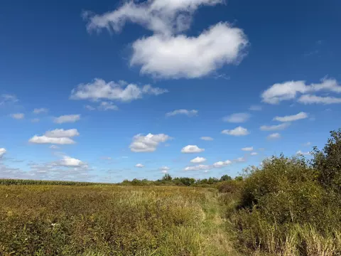 tbd 400th St, Bertha, MN 56437 photo 30