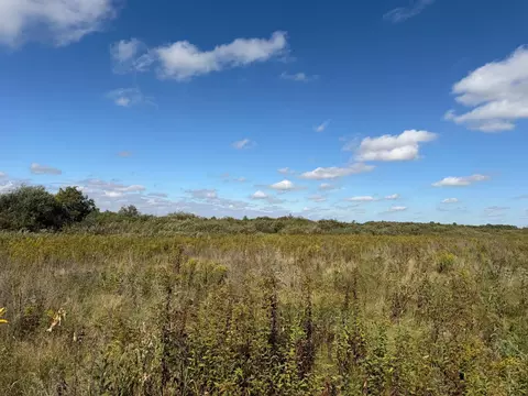 tbd 400th St, Bertha, MN 56437 photo 17