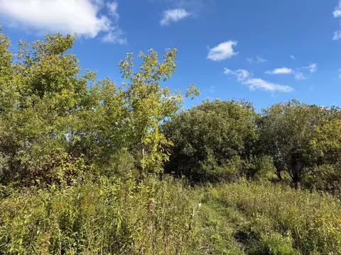 tbd 400th St, Bertha, MN 56437 photo 26