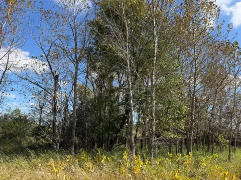 tbd 400th St, Bertha, MN 56437 photo 33