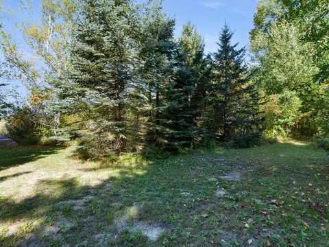 Exterior - 4707 Red Pine Dr NW, Hackensack, MN 56452 photo 6 of 17