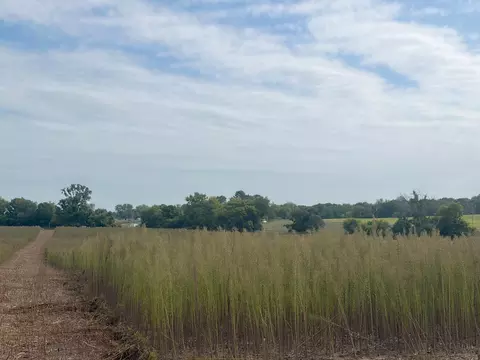 tbd Yellowpine Ct NW, Isanti, MN 55040
