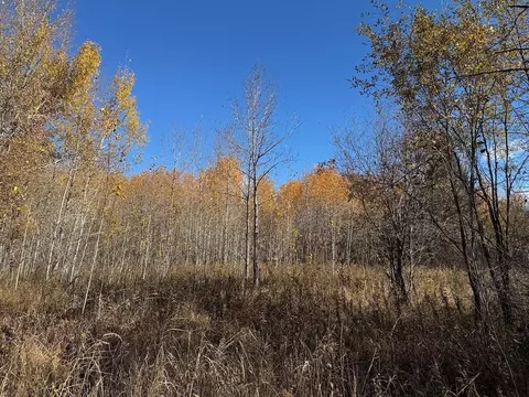 tbd Spangrud Ct NE, Kelliher, MN 56650 photo 8