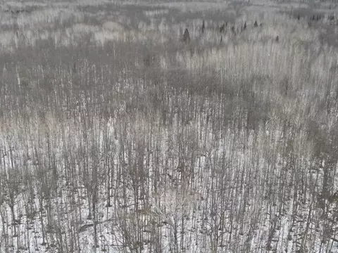tbd Spangrud Ct NE, Kelliher, MN 56650 photo 5