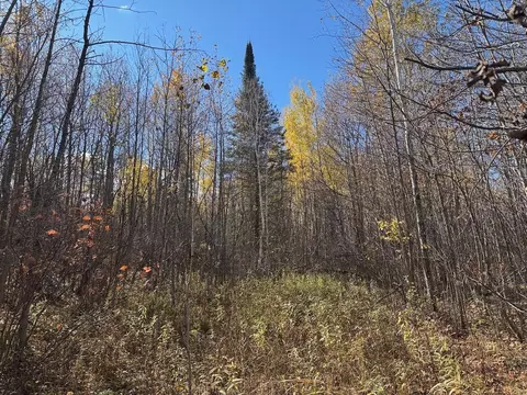 tbd Spangrud Ct NE, Kelliher, MN 56650 photo 9