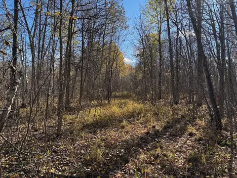 tbd Spangrud Ct NE, Kelliher, MN 56650 photo 6