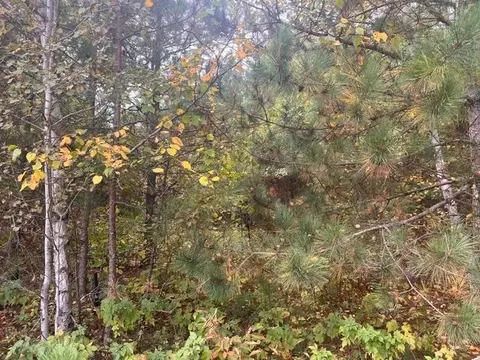 Other - 8924 Black Brook Rd, Webster, WI 54893 photo 4 of 18