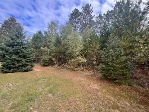 Exterior - 8924 Black Brook Rd, Webster, WI 54893 photo 6 of 17
