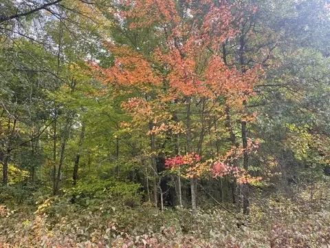 Other - 8924 Black Brook Rd, Webster, WI 54893 photo 18 of 18