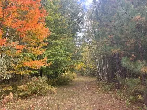 Other - 8924 Black Brook Rd, Webster, WI 54893 photo 16 of 18