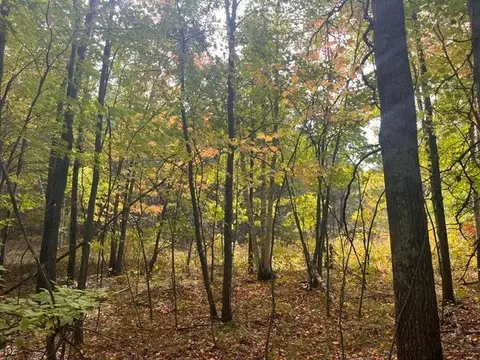 Other - 8924 Black Brook Rd, Webster, WI 54893 photo 17 of 18