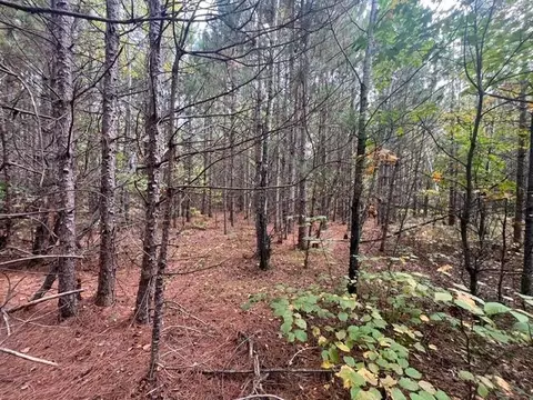 Other - 8924 Black Brook Rd, Webster, WI 54893 photo 14 of 18