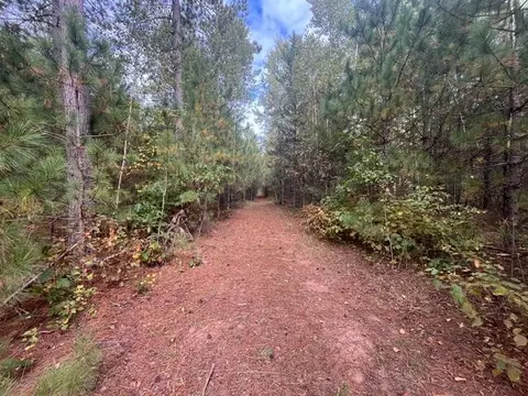 Other - 8924 Black Brook Rd, Webster, WI 54893 photo 3 of 18