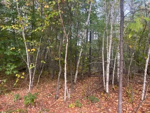 Exterior - 8924 Black Brook Rd, Webster, WI 54893 photo 14 of 17