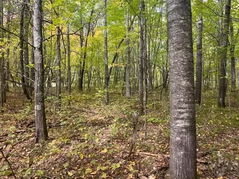 Exterior - 8924 Black Brook Rd, Webster, WI 54893 photo 16 of 17