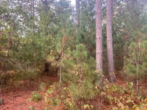 Other - 8924 Black Brook Rd, Webster, WI 54893 photo 15 of 18
