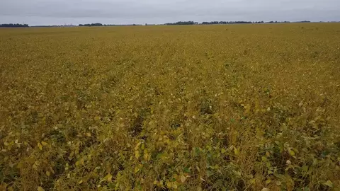 Other - tbd 280th St, Danube, MN 56230 photo 23 of 26