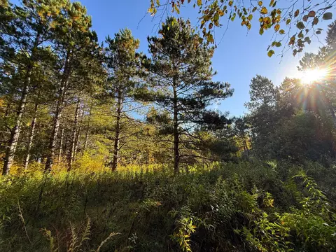 Nnn 540th Lane, Palisade, MN 56469