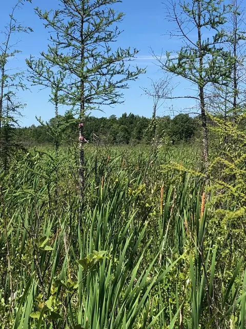 tbd 248th Pl, Mcgregor, MN 55760 photo 15