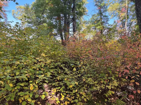 tbd 248th Pl, Mcgregor, MN 55760 photo 8