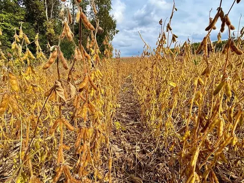 tbd Dump Hl, Rushford, MN 55971 photo 28