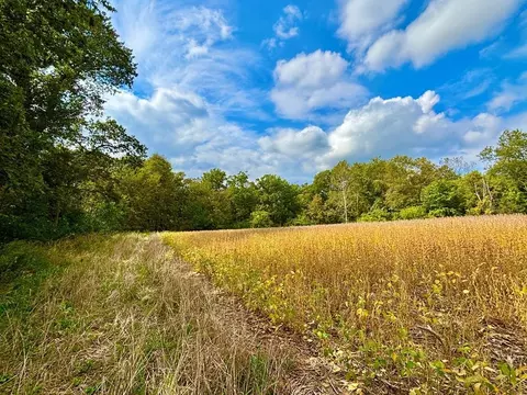 tbd Dump Hl, Rushford, MN 55971 photo 27