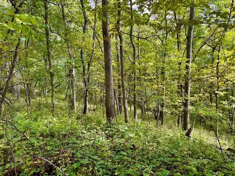 tbd Dump Hl, Rushford, MN 55971 photo 35