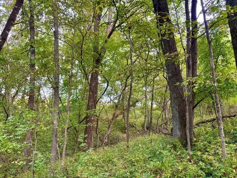tbd Dump Hl, Rushford, MN 55971 photo 51