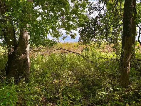 tbd Dump Hl, Rushford, MN 55971 photo 32