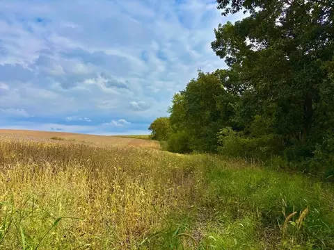 tbd Dump Hl, Rushford, MN 55971 photo 34