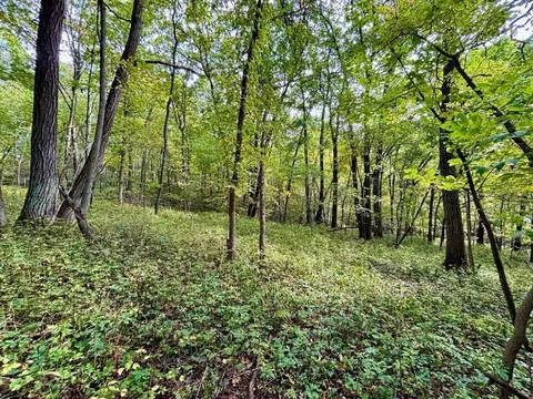 tbd Dump Hl, Rushford, MN 55971 photo 38