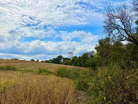 tbd Dump Hl, Rushford, MN 55971 photo 44