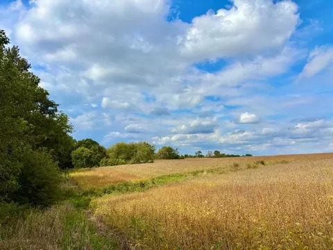 tbd Dump Hl, Rushford, MN 55971 photo 48