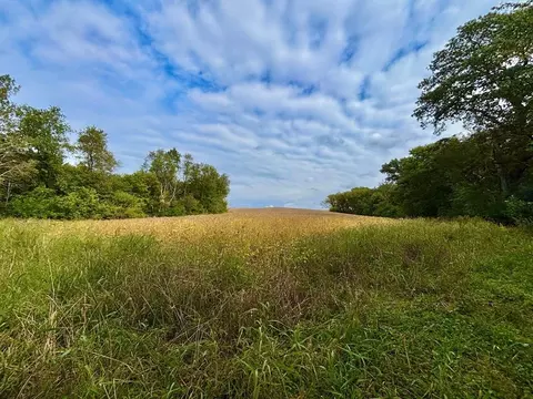 tbd Dump Hl, Rushford, MN 55971 photo 22