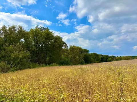 tbd Dump Hl, Rushford, MN 55971 photo 50